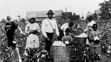 cottonpicker.jpg