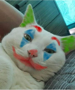 1697798432769.png