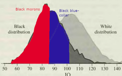 1697809193988.png