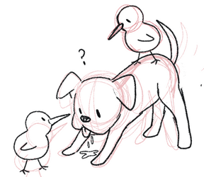 slobbermuttkiwi.png