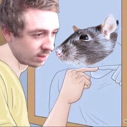 rat2a.jpg