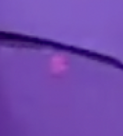 1697997594036.png