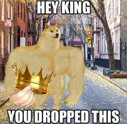 1697998612846.jpeg