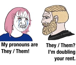 1698002582303.jpeg