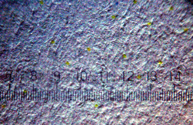 1698014632577.png