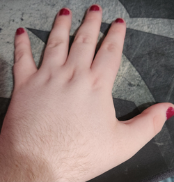 1698017958937.png