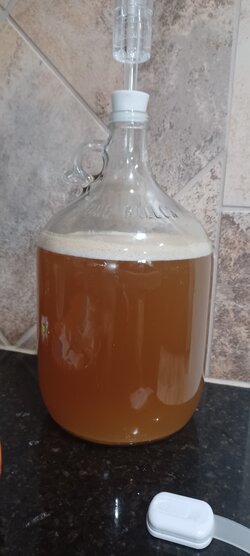 20231023_150737.jpg