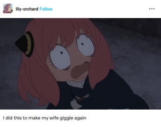 203816.png