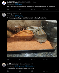 snek like.png