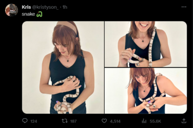 snek.png