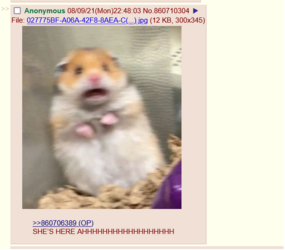 ShesHere.png