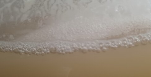 20231025_094805.jpg