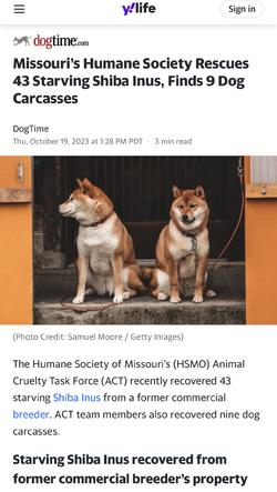 Missouri’s Humane Society Rescues 43 Starving Shiba Inus, Finds 9 Dog Carcasses.png