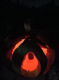 20231025_224007.jpg