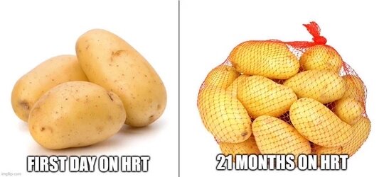1698605095655.jpeg