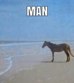1698608090856.png