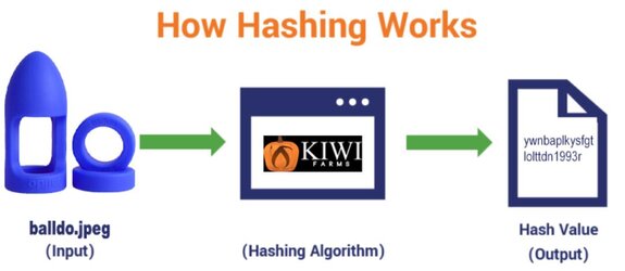 hashfortards.jpg