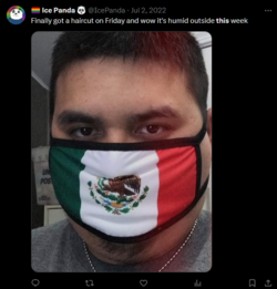 1698641848473.png