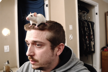 boss rat.png