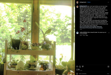 Screenshot 2023-10-18 at 14.26.41.png