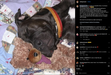 Screenshot 2023-10-21 at 20.08.12.png