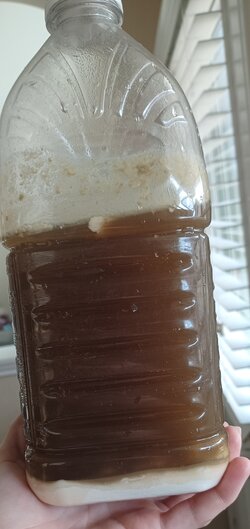 20231023_145541.jpg 20231023_145541.jpg
