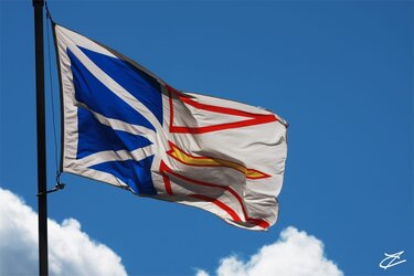 Newfoundland.jpg