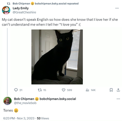 cat.png