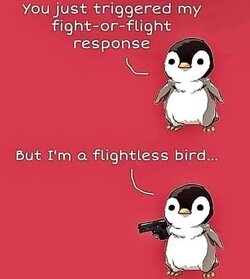 FB_IMG_1699016956571.jpg