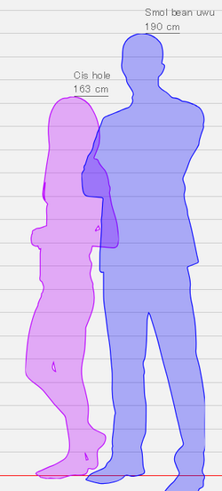 Untitled.png