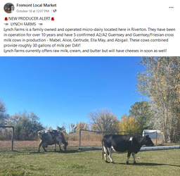 lynchdairy.png