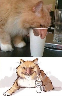 IMG_0957.jpeg