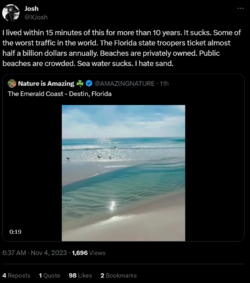 1699106818428.png