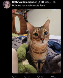 A174F036-53E8-4921-98B4-B933CB16A6E2.jpeg