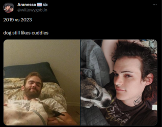 1699284054919.png