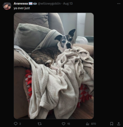1699284590659.png