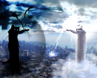 longcatshowdown.jpg