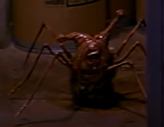 Norris Head Spider.png