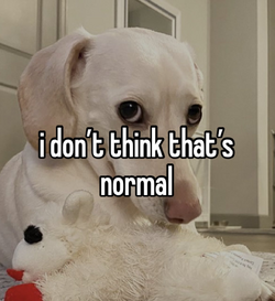 1699323327144.png
