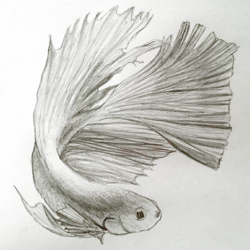 Untitled80_20231107160837.png