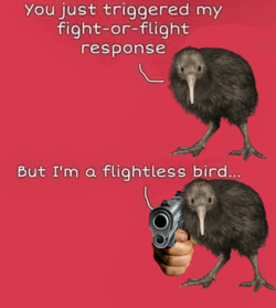 kiwi gun.png