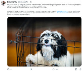 dog.png
