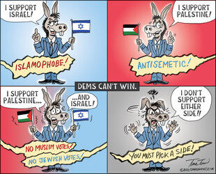 palestine_israel_democrats_support-tina-toon-1536x1239.jpg