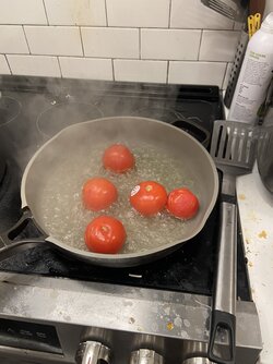 IMG_6850.jpeg