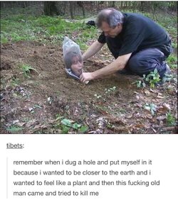 plant closer to earth.jpeg