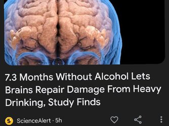 alcohol.jpg