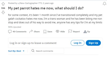 FireShot Capture 067 - My pet parrot hates me now, what should I do_ _ asktransgender_ - www.r...png