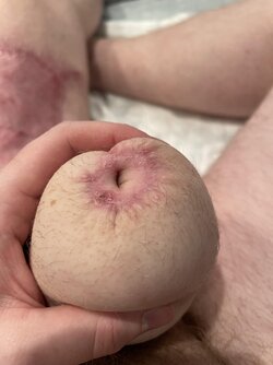 8dlabf7p1kzb1.jpg