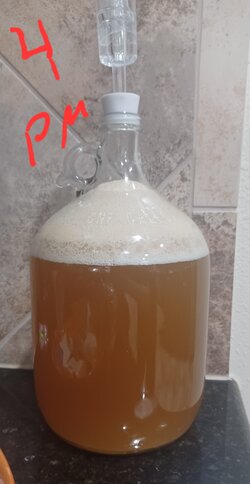 20231023_184708.jpg