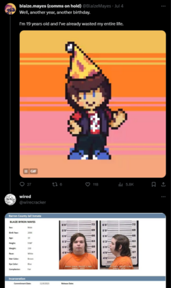 1699705048377.png